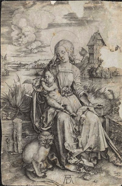 Virgin and Child with a Monkey by Albrecht Dürer
